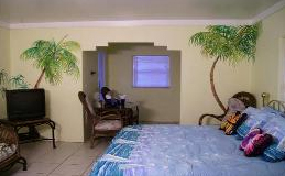 The Jungle cottage